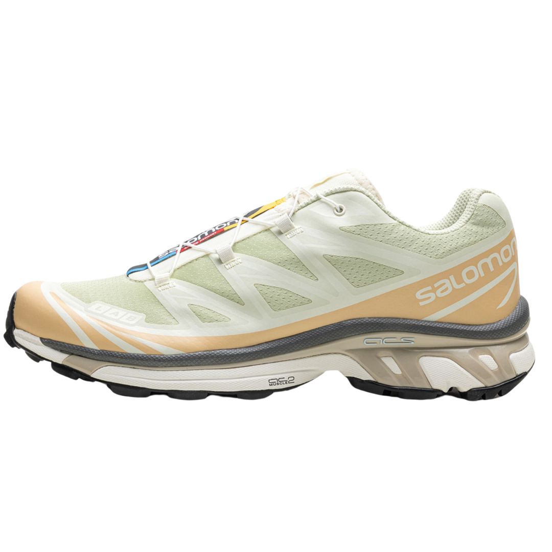 SALOMON ADVANCED XT-6 ALOE WASH