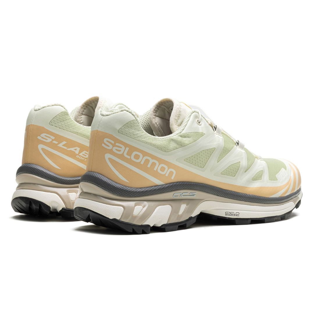 SALOMON ADVANCED XT-6 ALOE WASH