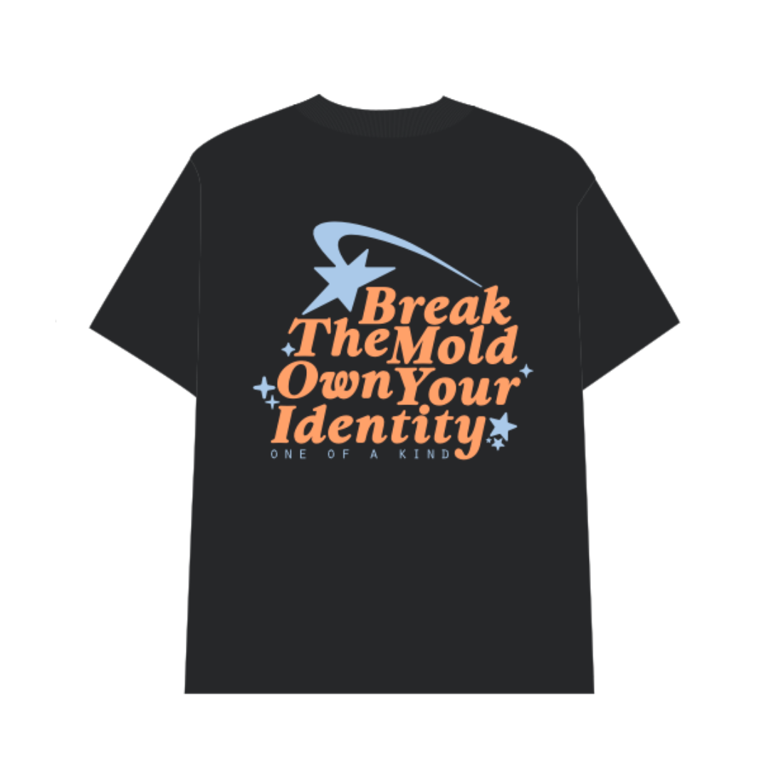 BREAK THE MOLD TEE WASHED GREY